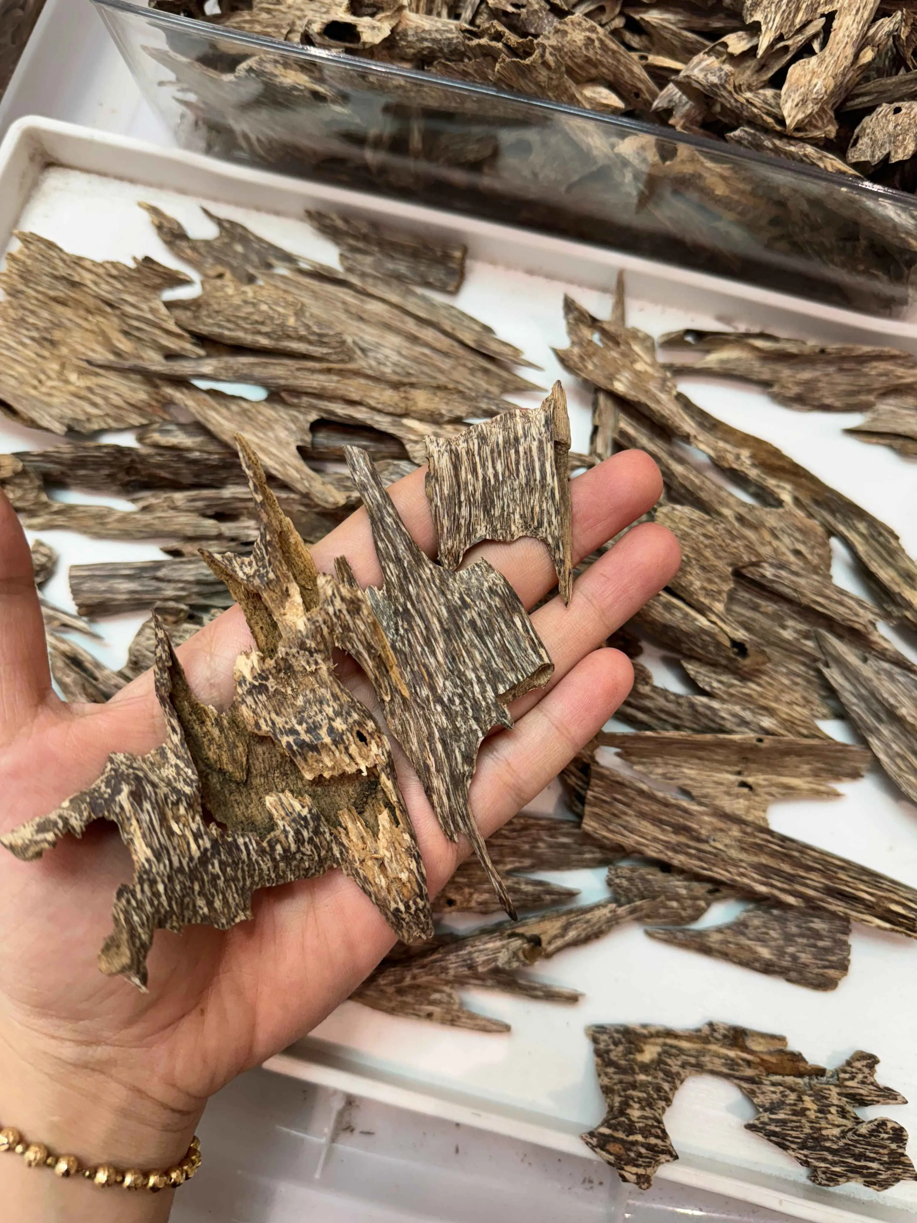 Premium Kien Agarwood Chips – Natural Vietnamese Oud for Burning &amp; Aroma Experience